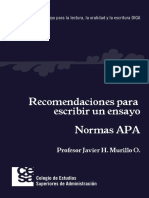 Recomendacioes para escribir un ensayo Normas APA.pdf