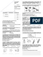 Evaluacion 3 Periodo 6° - Reinos