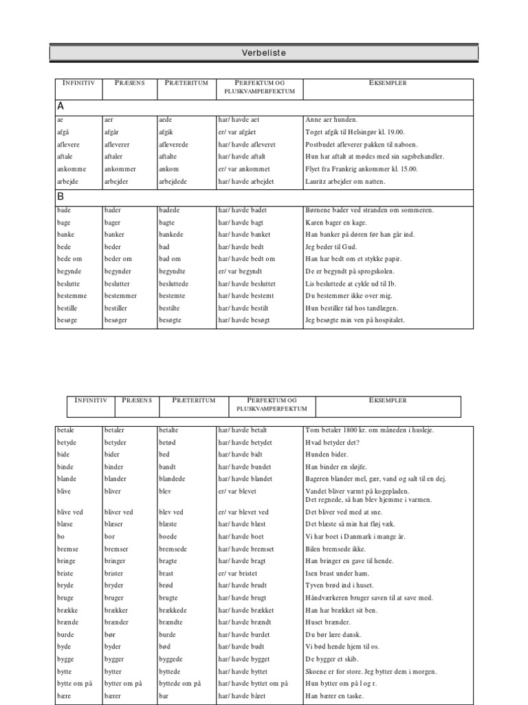 Dansk Med Eksempler | PDF