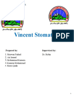 Vincent Stomatitis: University of Sulaimani College of Dentistry Third Stage