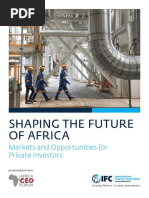 Shaping The Future of Africa: Markets and Opportunities For Private Investors