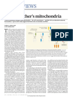 Father's Mitochondria