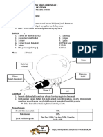 Modul Kembara