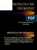 Protocolo de Necropsia. 