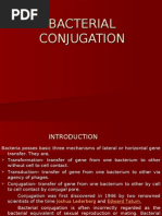 Download BACTERIAL CONJUGATION by cnmi SN4199693 doc pdf