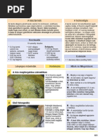 A Főzés Tudománya - Konyhatechnológiai Kalauz 2016 (Minta)