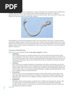 Kinds 2 Roundworms