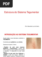 Aula 2 - Estrutura Do Sistema Tegumentar