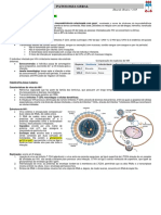01 - Patologia Viral