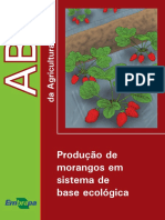 Embrapa - Producao-de-Morangos-em-sistema-de-base-ecolgica-ed01-2010.pdf