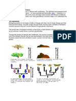 An Introduction To The Definition: Allele