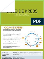 Ciclo de Krebs - Realizado Por Nilda Espinoza Ima