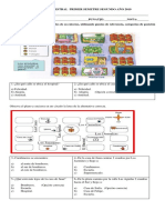 Prueba Semestral Historia Primer Semetre Segundo Año 2019