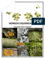 HONGOS_ LIQUENIZADOS.pdf