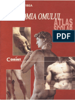 A Atlas Scolar Anatomia Omului Corint