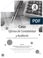 Caso Oficina de Contabilidad y Auditoria