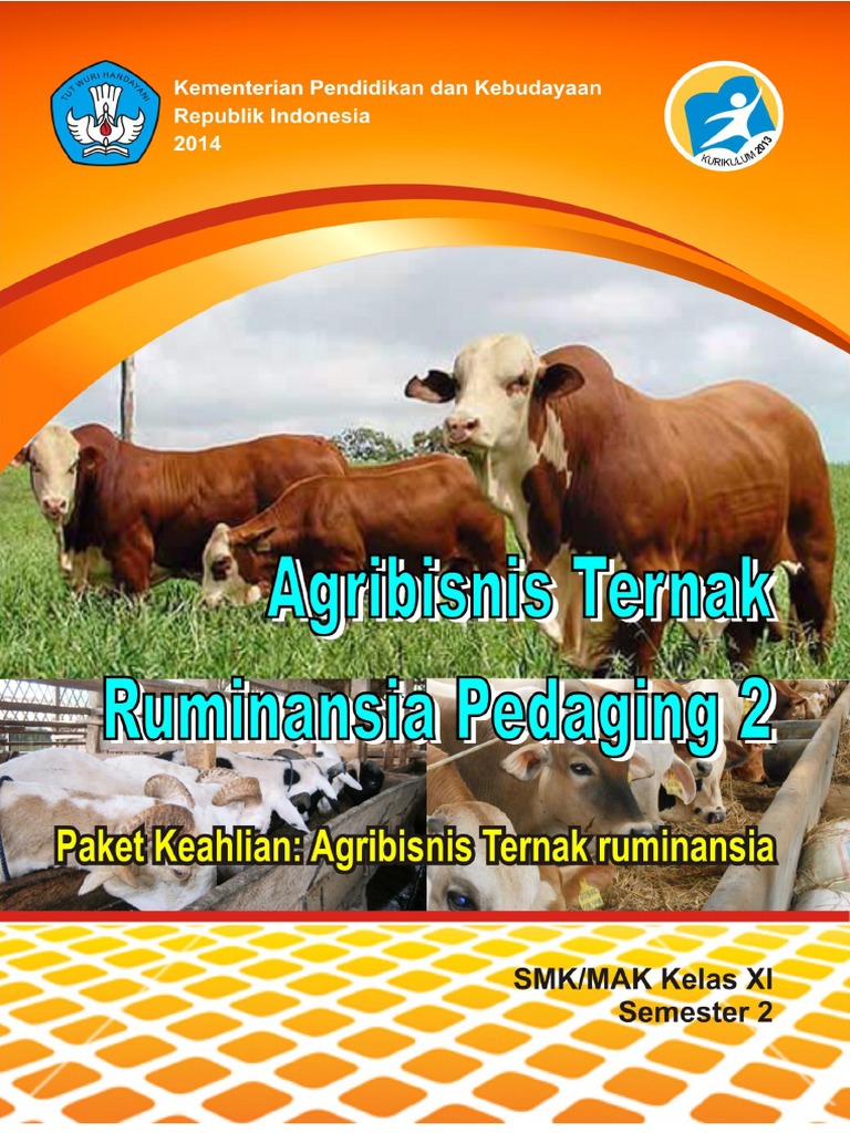 11 Agribisnis Ternak Ruminansia Pedaging 2 Xi 2 Pdf