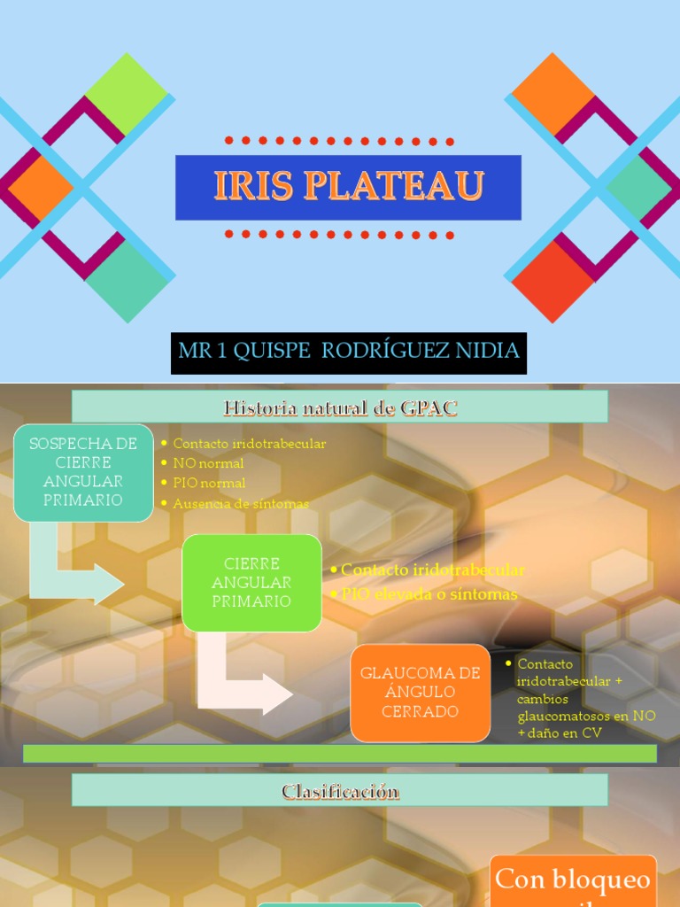 Iris Plateau PDF Rtt