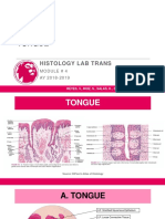 4.1A-Tongue (GIT)