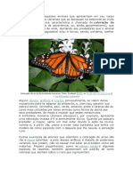 Existem Algumas Espécies Animais Que Apresentam em Seu Corpo Cores e Linhas Muito Vibrantes Que As Destacam No Ambiente Ao Invés de Escondê