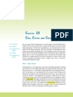 cc&cd.pdf