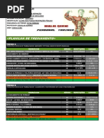 Planilha de treinamento 3 - TadeuMuller.pdf
