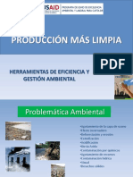 Produccion Mas Limpia 2010