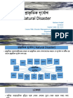 Natural Disaster