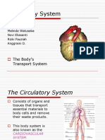 Circulatory System Transport Overview