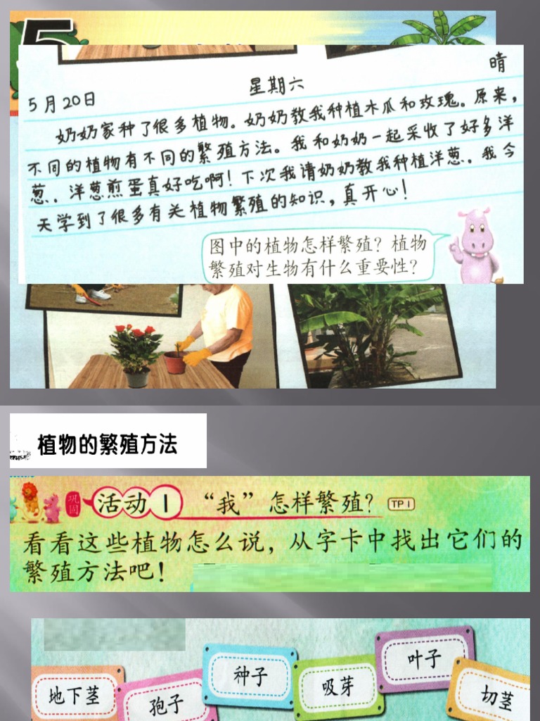 1植物的繁殖方法