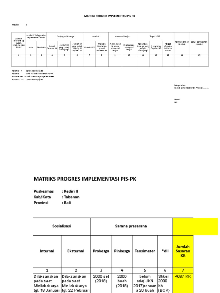 Progres Implementasi PIS-PK di Bali | PDF