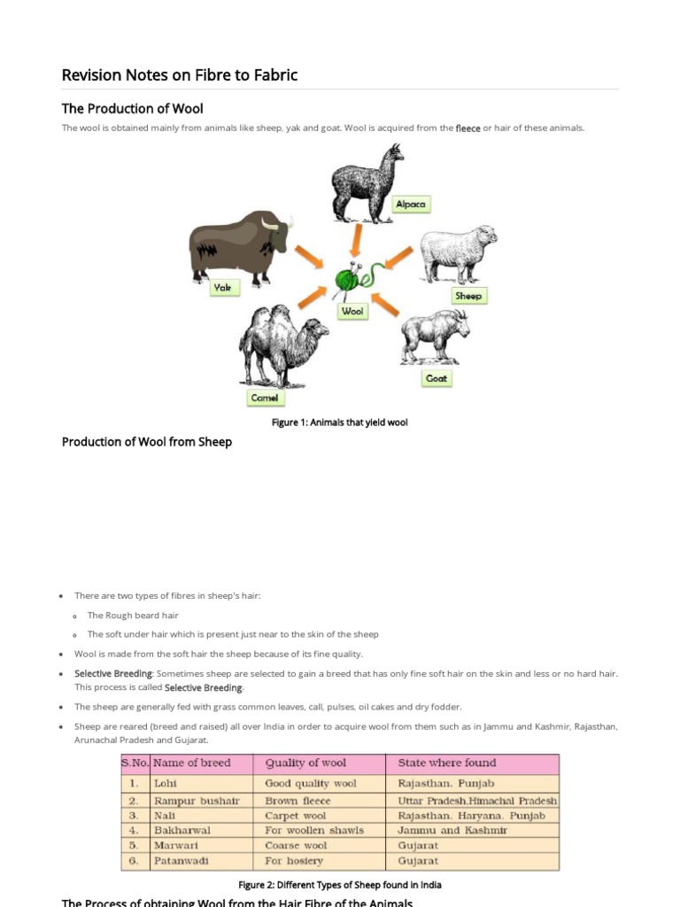 Class 7 Science Fibre To Fabric Additional Notes Silk Wool