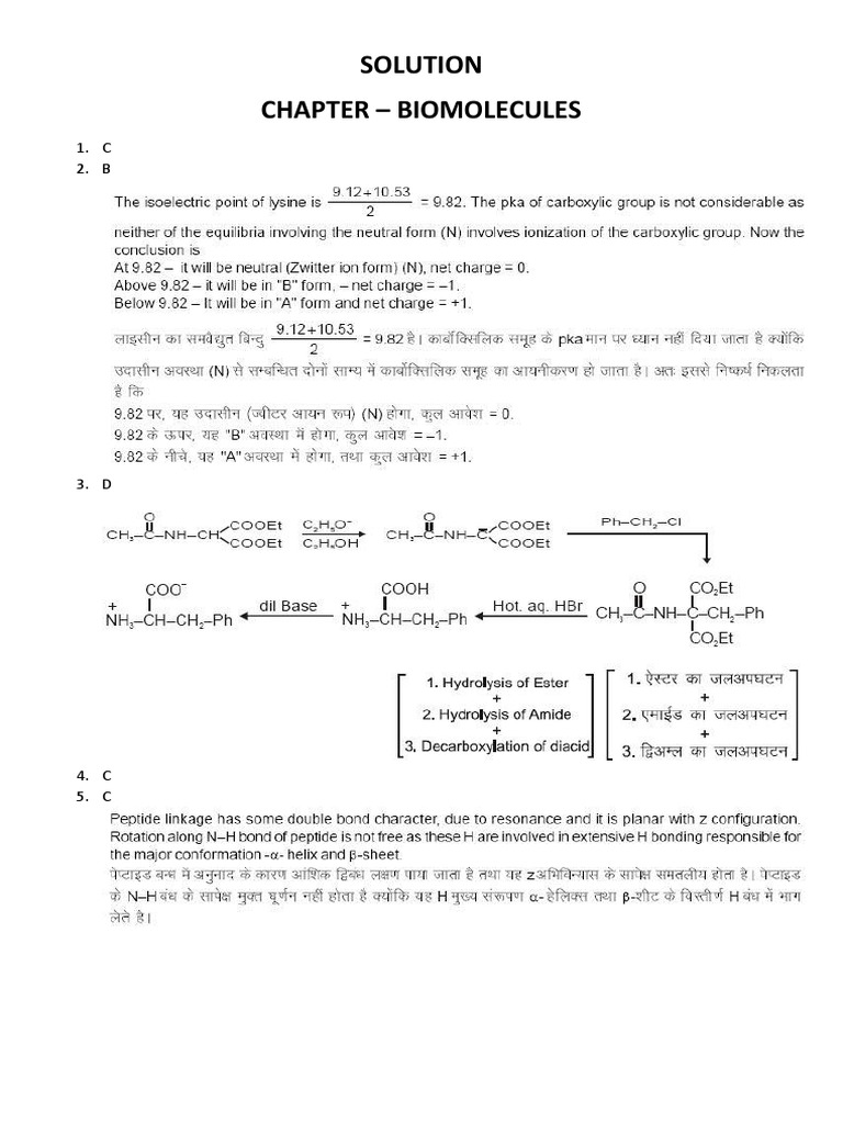 Biomolecules Solutions and Answers | PDF