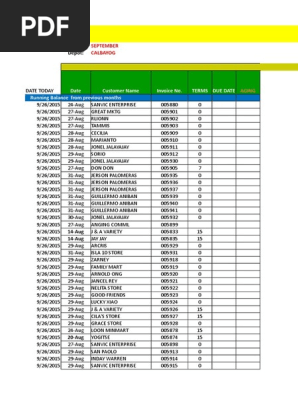 Accounting ledger