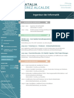Elaborar Curriculum Vitae Aleman 775 PDF