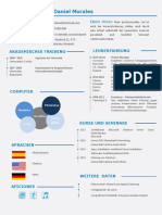 Ejemplo Curriculum Vitae Profesional Aleman 780 PDF