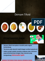 Demam Tifoid