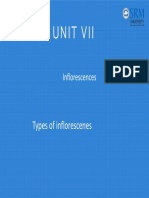 Unit Vii: Types of Inflorescenes