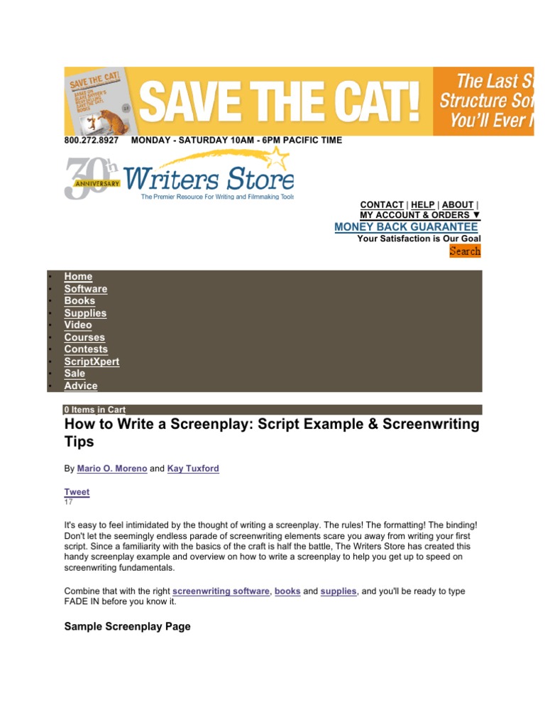 How To Write A Screenplay: Script Example & Screenwriting Tips | PDF ...