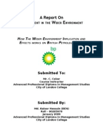 Report - British Petroleum (Management in The Wider Environment)