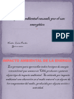 Impacto Ambiental Causado Por El Uso Energético Luisa