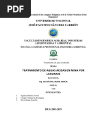 TRATAMIENTO DE AGUAS ACIDAS EN MINA.pptx.docx