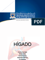 Anatomia-HIGADO (1).pptx