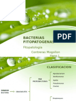 Bacteriasfitopatog 150321170158 Conversion Gate01