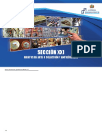 Sección 21 PDF