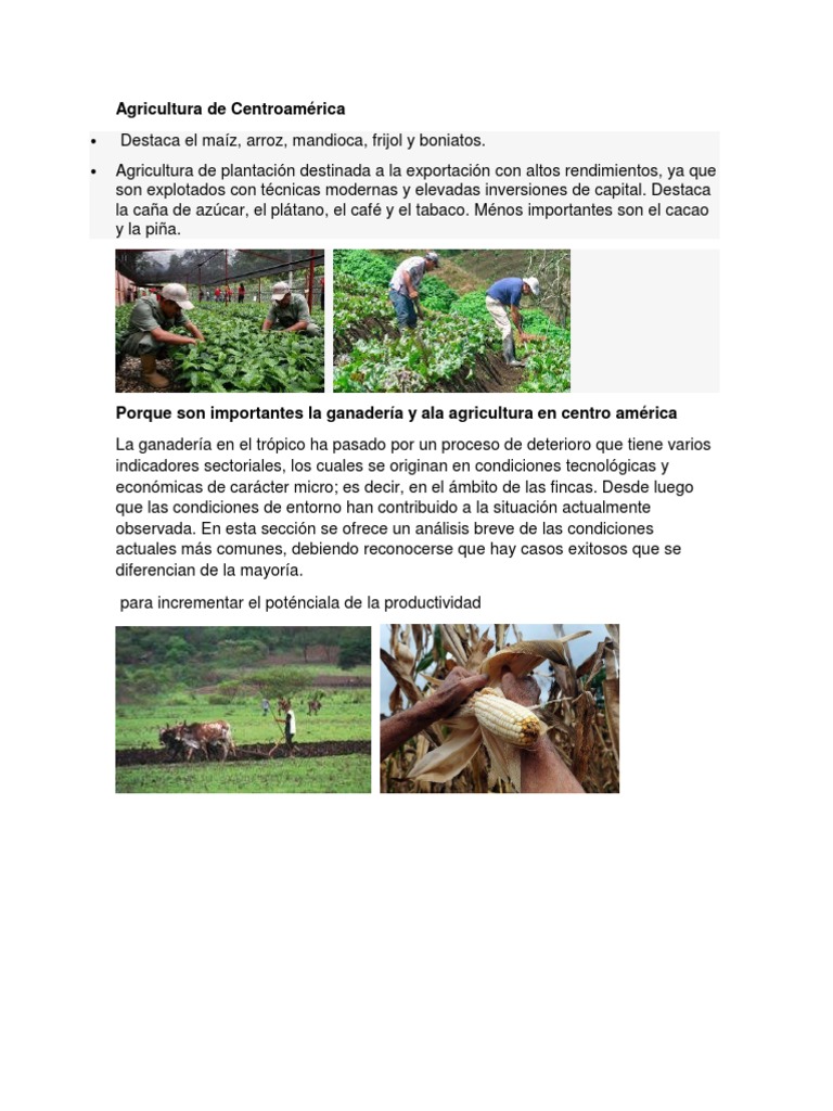 Agricultura y Ganadería en Centroamérica | PDF