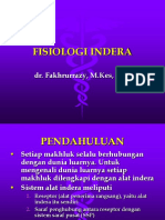Fisiologi Indra