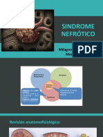 -Síndrome Nefrótico
