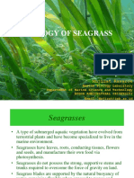 Biology of Seagrass: Mujizat Kawaroe