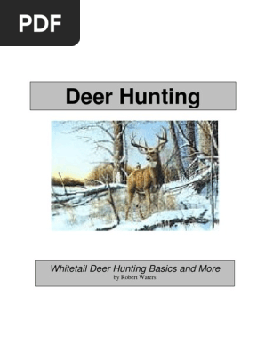 Whitetail Deer Hunting